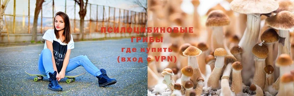 амфетамин Заводоуковск